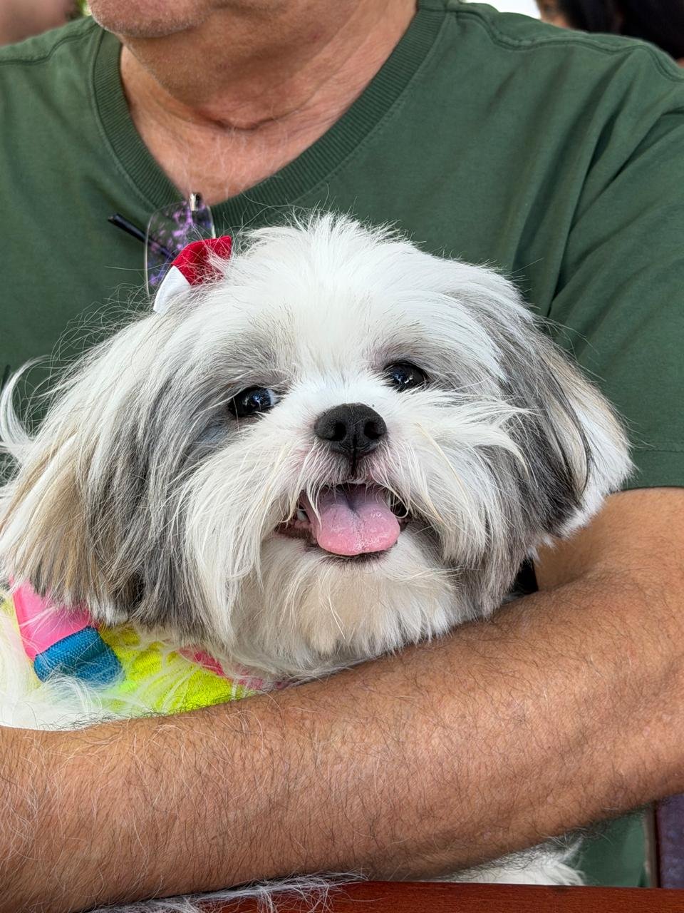foto da antonietta