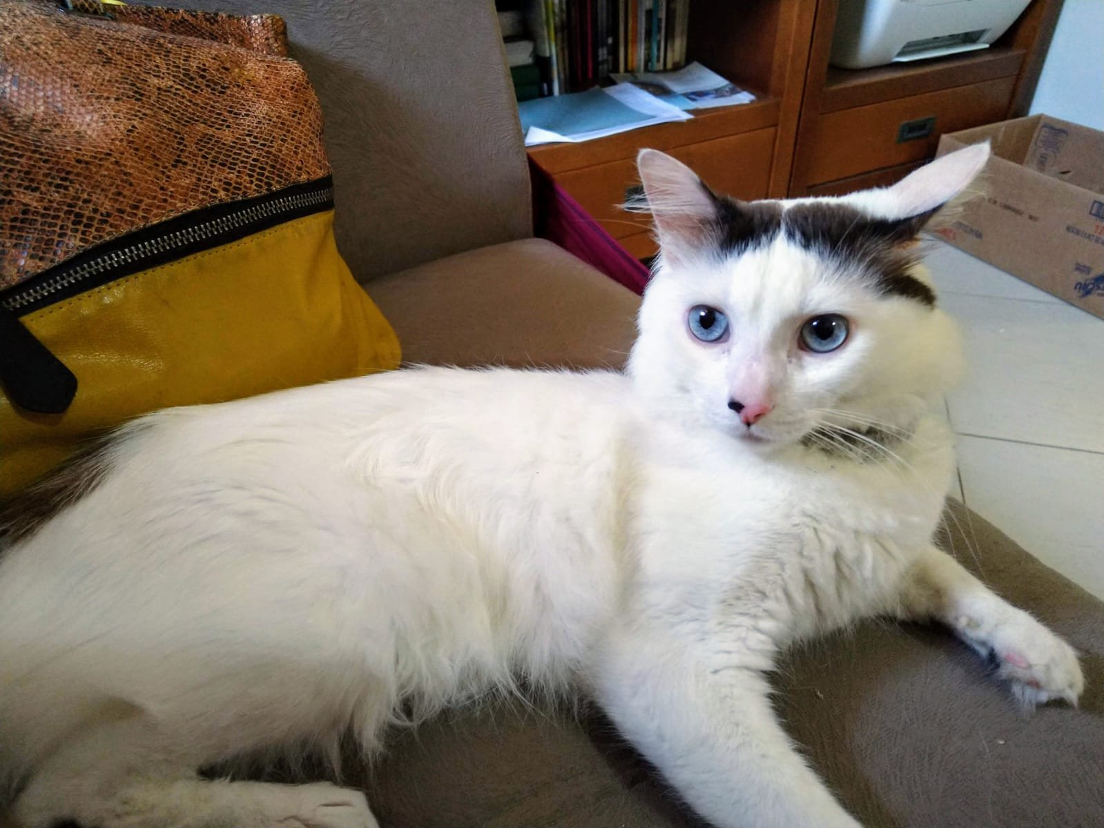 Foto Nino